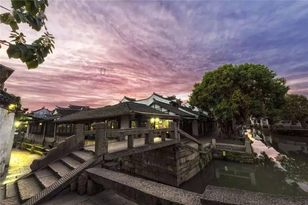 森系丛林